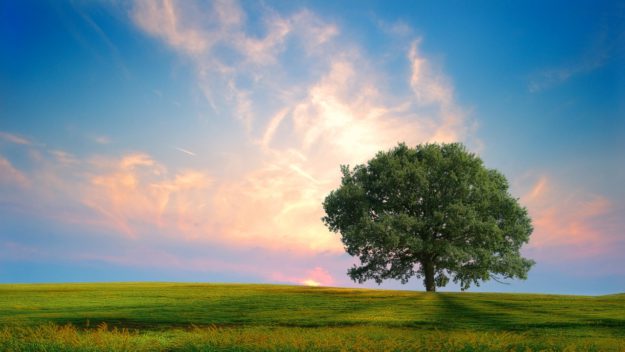 635982646968672800-1766933105_fresh_nature-1280×720